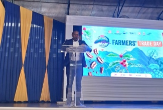 Minister of Agriculture, Fisheries and Mining, Hon. Floyd Green, addresses coffee farmers at the Jamaica Blue Mountain Coffee Festival’s Farmers’ Trade Day held at the University of Technology, Jamaica’s Alfred Sangster Auditorium on February 28.