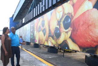 Minister of State in the Ministry of Agriculture, Fisheries and Mining, Hon. Franklin Witter;  and Executive Director of Jamaica Vacations (JamVac) Limited, Joy Roberts, look at one of the photos erected as part of the Jamaica Bauxite Mining (JBM) Limited’s port beautification project at Reynolds Pier in Ocho Rios, St. Ann. Occasion was the ribbon-cutting ceremony for the initiative, which was held on Friday (February 28).

