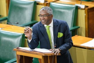 Government Senator, Kavan Gayle