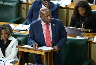 Minister of Industry, Investment and Commerce, Senator the Hon. Aubyn Hill, addresses the Senate on April 11.

