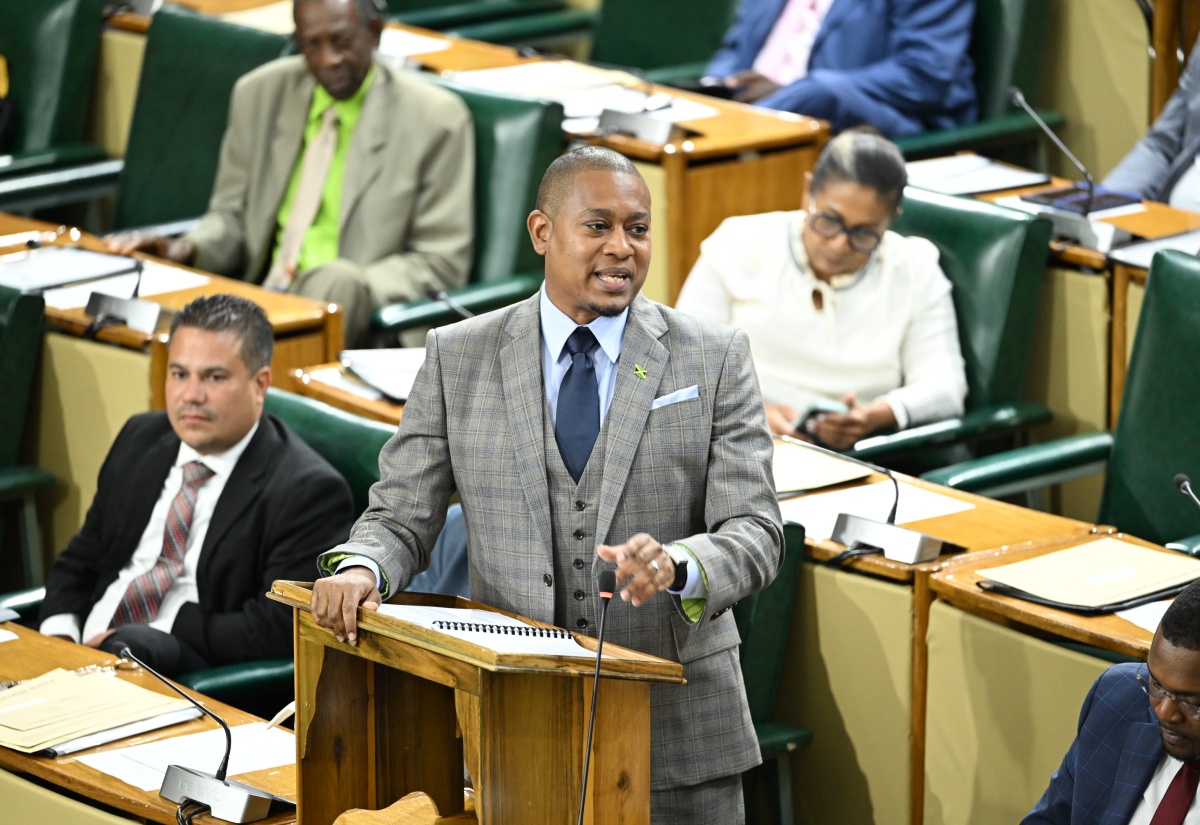 Minister of Agriculture, Fisheries and Mining, Hon. Floyd Green, makes his contribution to the 2025/26 Sectoral Debate in the House of Representatives on Tuesday (May 27).

