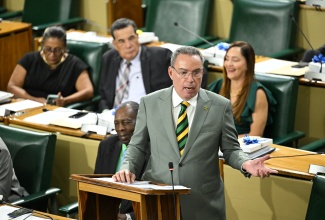Science, Energy, Telecommunications and Transport Minister, Hon. Daryl Vaz, makes his presentation in Tuesday’s (May 20) Sectoral Debate in the House of Representatives.

