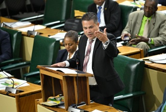 Minister without portfolio in the Ministry of Economic Growth and Job Creation, Hon. Matthew Samuda, makes his contribution to the Sectoral Debate in the House of Representatives on May 27.

