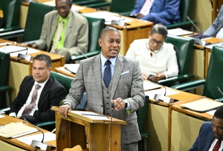 Minister of Agriculture, Fisheries and Mining, Hon. Floyd Green, speaks in the House of Representatives.

