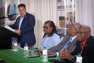 Minister without Portfolio in the Ministry of Economic Growth and Job Creation, Hon. Matthew Samuda (left), delivers remarks during the national launch of the Green Climate Fund (GCF) and United Nations Environment Programme (UNEP) Green Hydrogen Project, at the Terra Nova All-Suite Hotel in Kingston on Tuesday (July 1). Listening (from left) are Founder, Grants Works Consulting, Patrice Davis; Jamaica’s first Special Envoy for Climate Change, Environment, Ocean, and the Blue Economy, Ambassador Professor Dale Webber, and Head of the UNEP Caribbean Sub-regional office, Vincent Sweeney.


