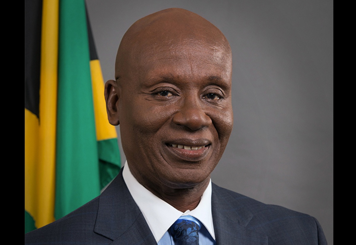 Minister of Local Government and Community Development, Hon. Desmond McKenzie.